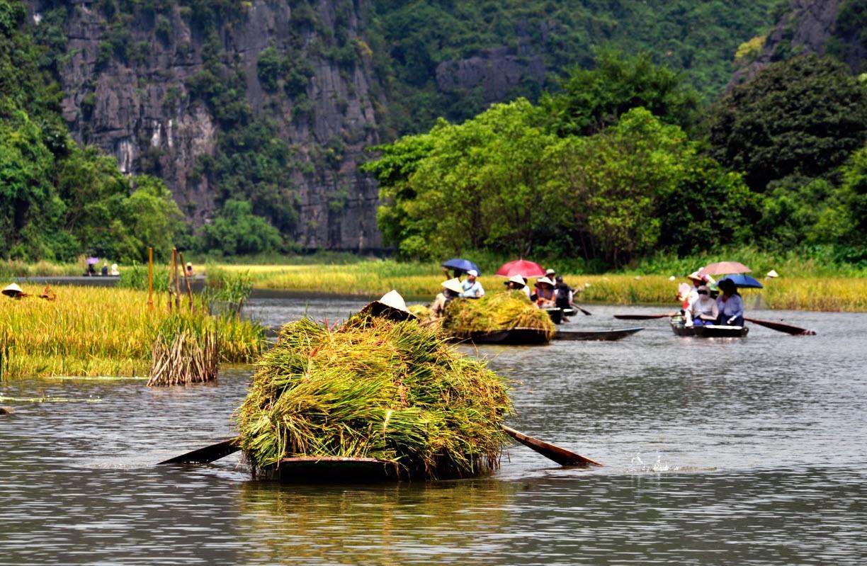 Explore Vietnam Tour & Local Life